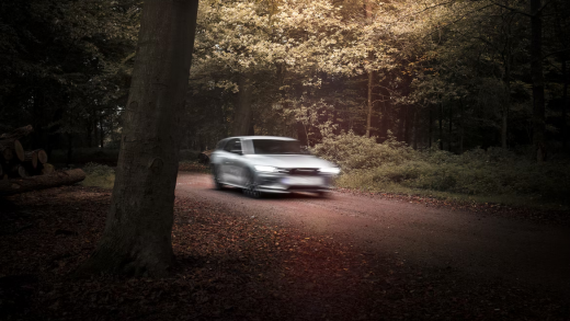 White car speeding through the woods
